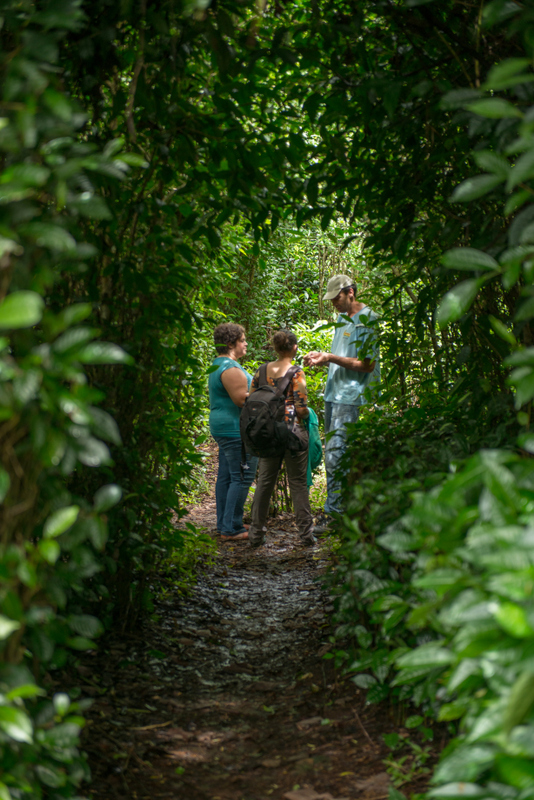 Visite guidée du Labyrinthe En-Champ-Thé